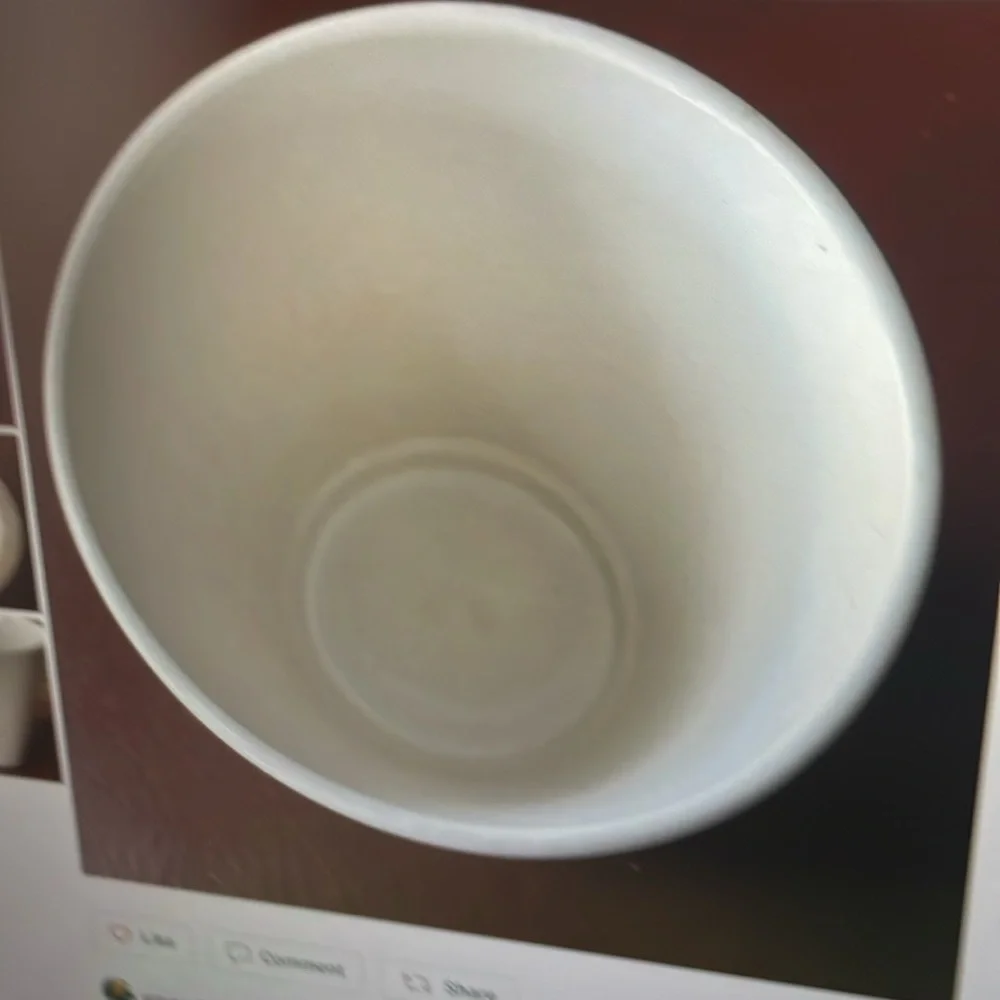 Elegant White Ceramic Flowerpot